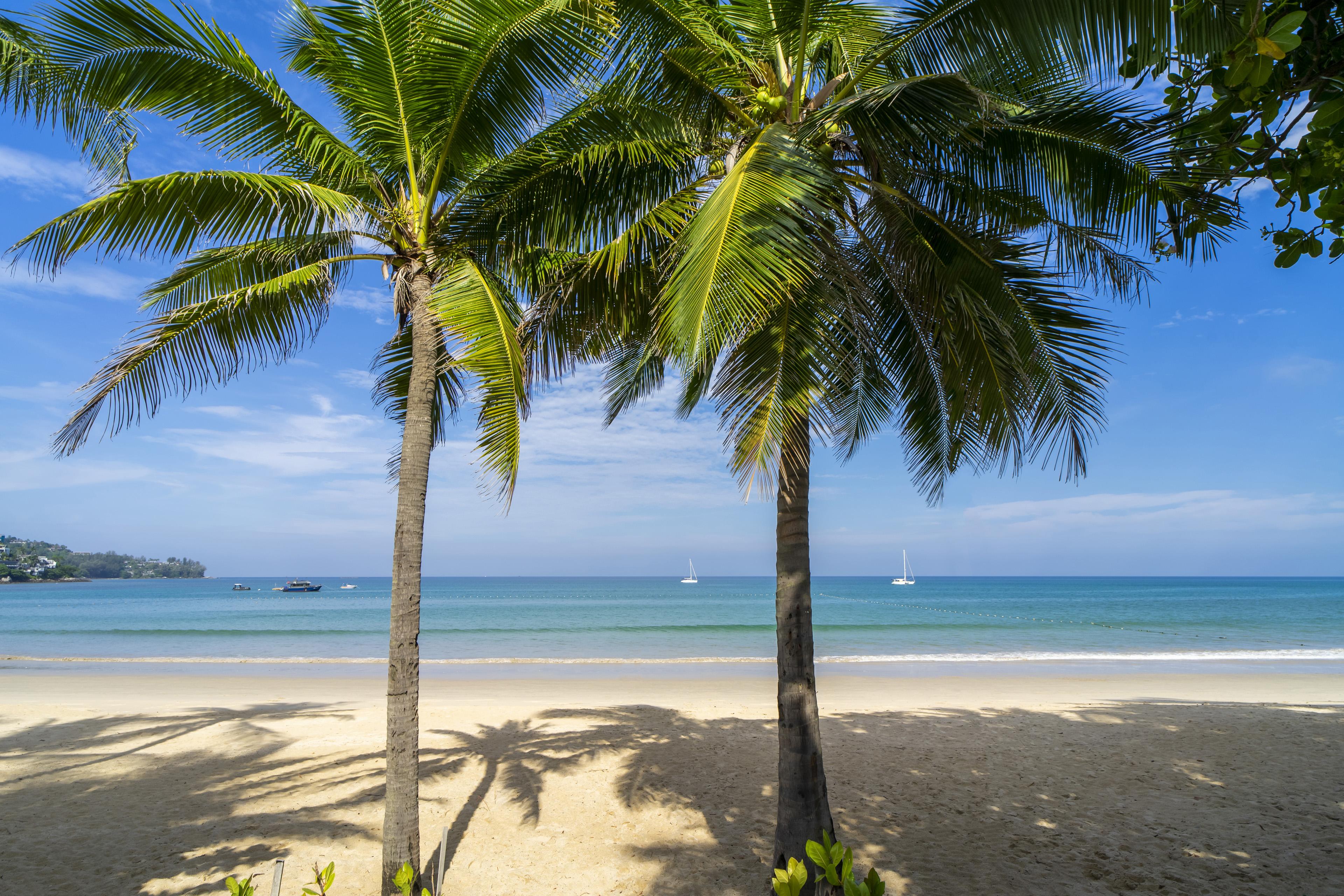 Sunprime Kamala Beach (Adults Only) المظهر الخارجي الصورة